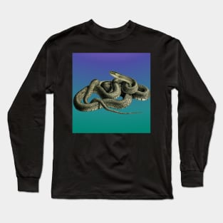 Blue grandient background of a vintage illustration of a snake Long Sleeve T-Shirt